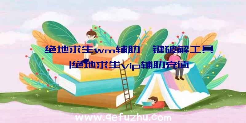 「绝地求生wm辅助一键破解工具」|绝地求生vip辅助充值